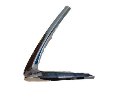 Scion 53123-WB001 Chrome Strip