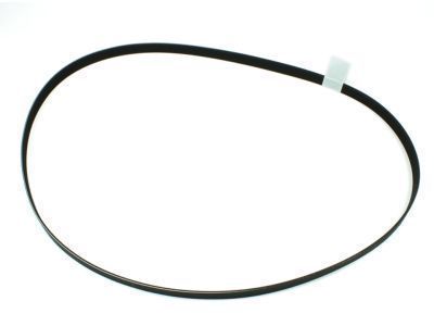 Scion 90916-02652 Serpentine Belt