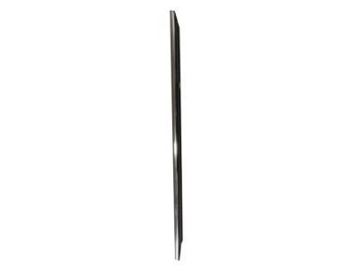 2004 Toyota Camry Door Moldings - 75730-AA020