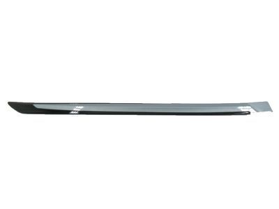 Toyota Prius Door Moldings - PT938-47160-07