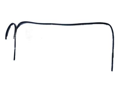 Toyota Sequoia Weather Strip - 62382-0C030