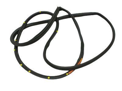 Toyota 67862-60100 Weatherstrip,  Front Door,  LH