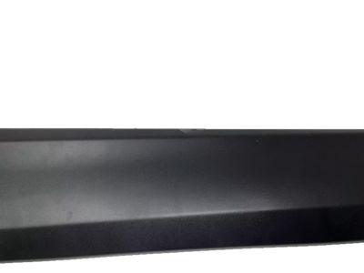 Toyota 75078-42020 Moulding, Rear Door, Outside Driver Side