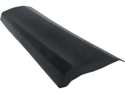 Toyota 75078-42020 Moulding, Rear Door, Outside Driver Side