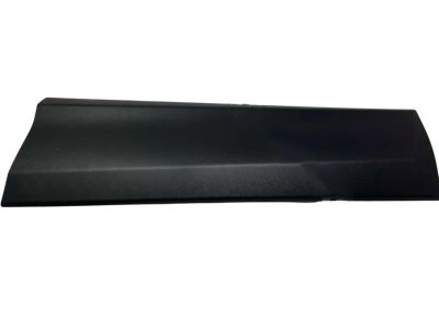Toyota 75078-42020 Moulding, Rear Door, Outside Driver Side