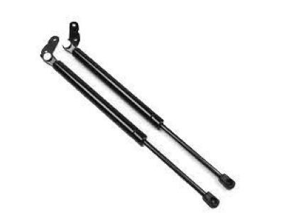 Toyota Liftgate Lift Support - 68960-80061
