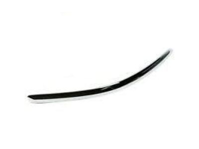 Toyota 75815-0C010 Moulding,  Back Door Outside,  RH