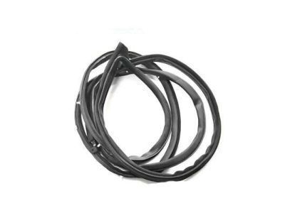 Toyota Land Cruiser Weather Strip - 62311-60010-03