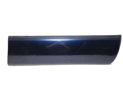 2006 Toyota 4Runner Door Moldings - 75731-35130-E0
