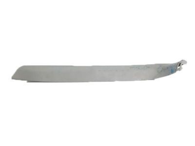 Scion 67938-21020-B0 Side Trim Panel