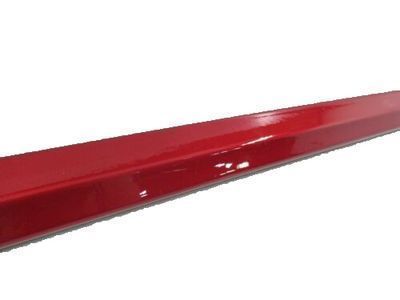 Toyota Prius Door Moldings - PT938-47160-04