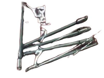 Scion 90269-03040 Rivet