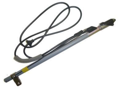 Toyota 86300-89123 Antenna Assembly, W/Holder