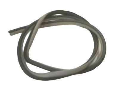 Toyota 62312-AA020 Weatherstrip On Body, Driver Side