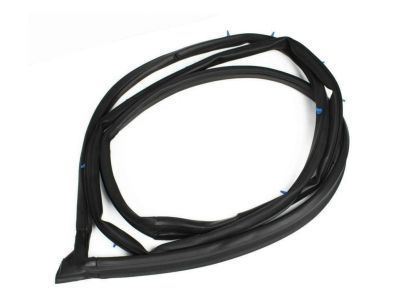 Toyota RAV4 Weather Strip - 67862-42041