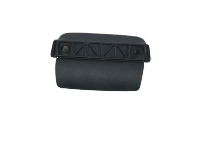 Toyota 74649-51010-C0 Pull Handle