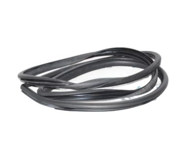Toyota Camry Weather Strip - 62312-06130-C0