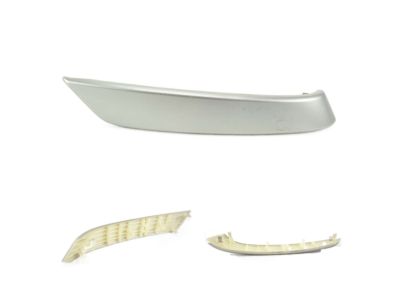 Scion 74646-21030 Handle Cover