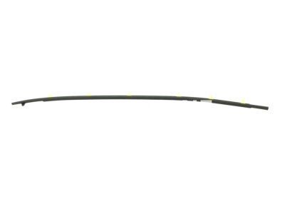 Toyota 75710-42010 Belt Weatherstrip, Passenger Side