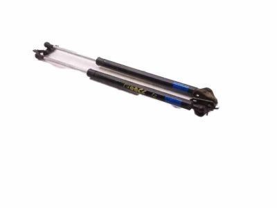 Toyota Liftgate Lift Support - 68960-49025