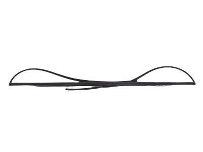 Scion 75533-21041 Reveal Molding