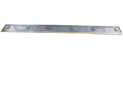 Toyota 75732-60120-E0 Moulding, Front Door, Outside Driver Side, Light Grayish