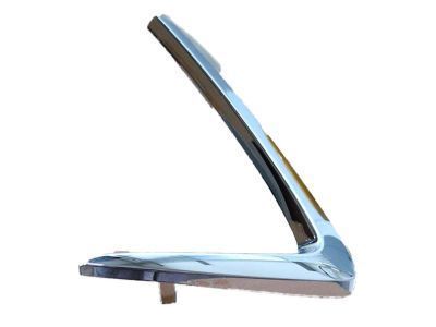 Scion 53124-WB001 Chrome Strip