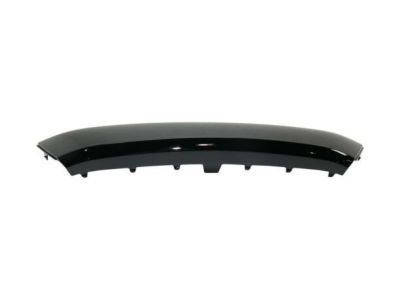Scion 53114-WB003 Molding