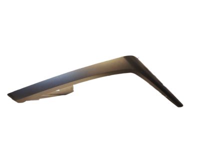 Toyota 74646-42040 Cover,  Door Assist Grip,  LH