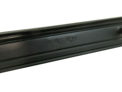 Toyota 68171-17011 Seal Strip, Front Passenger Side Inner