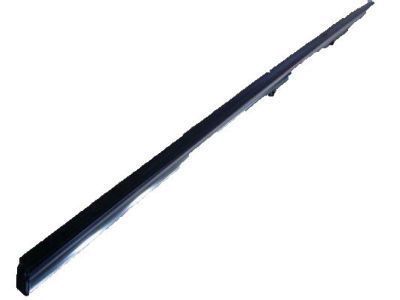 Toyota 75710-AC020 Belt Molding, Passenger Side