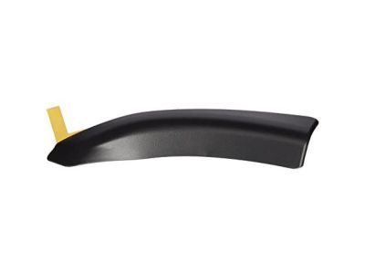 Toyota 75631-04010 Lower Molding
