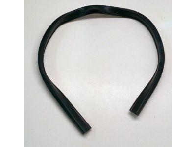 Toyota 69971-60020 Lift Channel Weatherstrip, Front