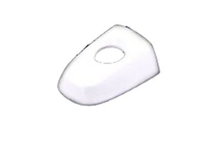 Scion 69227-AA010-A0 Handle, Outside Cover