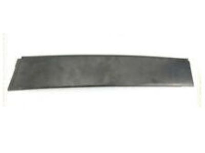 Scion tC Door Moldings - 75755-21020