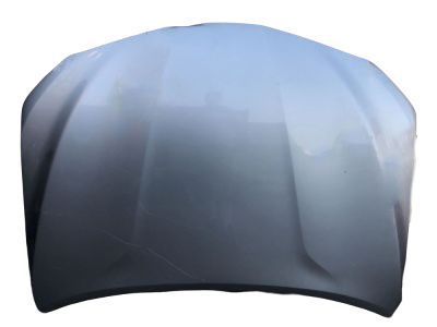 Toyota 53301-06330 Hood Sub-Assy