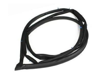 Toyota Weather Strip - 67862-47020