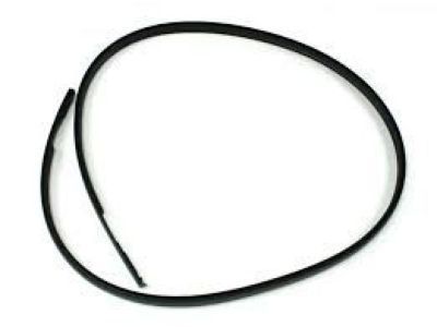 Scion 75551-WB001 Drip Molding