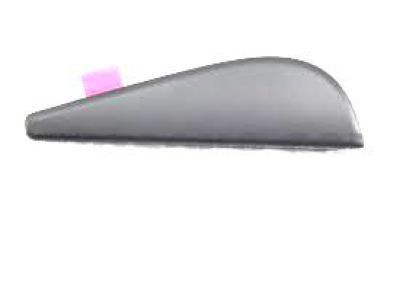 2022 Toyota Sequoia Door Moldings - 75766-0C010