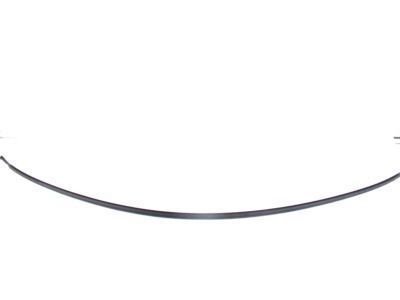 Toyota 75555-F4010 Drip Molding