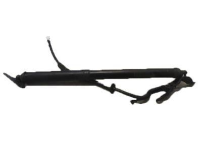 Toyota RAV4 Liftgate Lift Support - 68910-49055