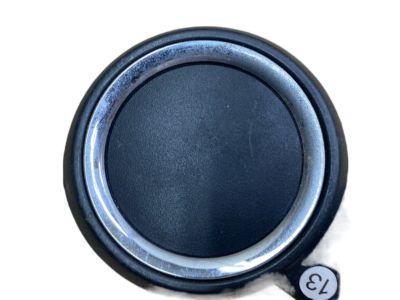 Toyota 74611-21010-B0 Cover, Assist Grip, Driver Side