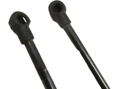 Toyota 68960-0W190 Stay Assembly, Back Door, Driver Side