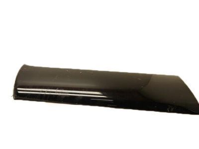Toyota 4Runner Door Moldings - 75731-35130-A0