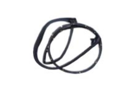 Toyota Tacoma Weather Strip - 62311-04051