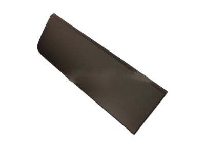 Toyota 75075-35162 Lower Cladding, Outside Passenger Side