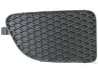 Toyota 52438-21010 Lamp Cover, Driver Side