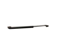 Toyota 68950-49025 Lift Cylinder, Passenger Side