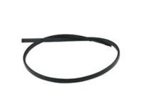 Toyota 75551-04041 Drip Molding, Passenger Side