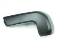 Toyota 52156-04010 End Cap, Driver Side